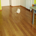 ristrutturazione pavimento bamboo